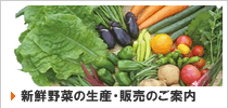 新鮮野菜の生産・販売のご案内