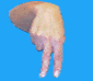 umv